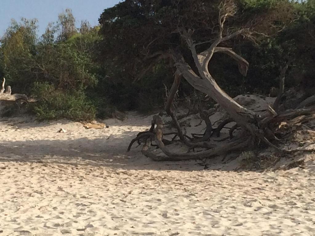Appartamento Mare E Centro Alghero Dış mekan fotoğraf