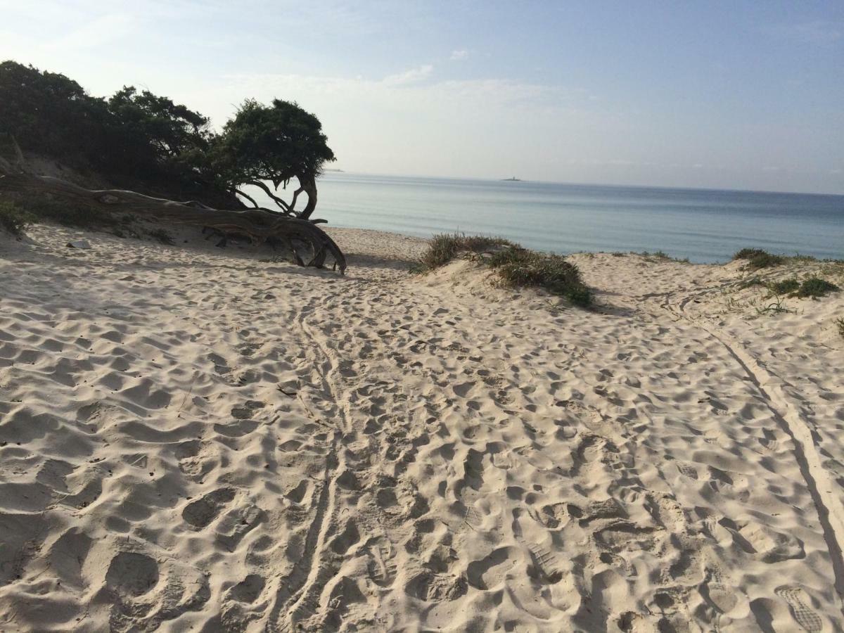 Appartamento Mare E Centro Alghero Dış mekan fotoğraf